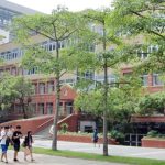 Đại học Phùng Giáp