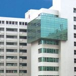 Đại học Á Đông