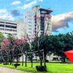 Đại học Nguyên Trí