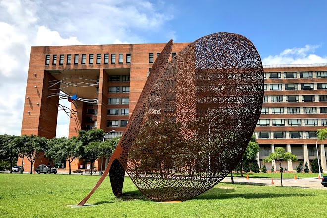 Đại học Thanh Hoa