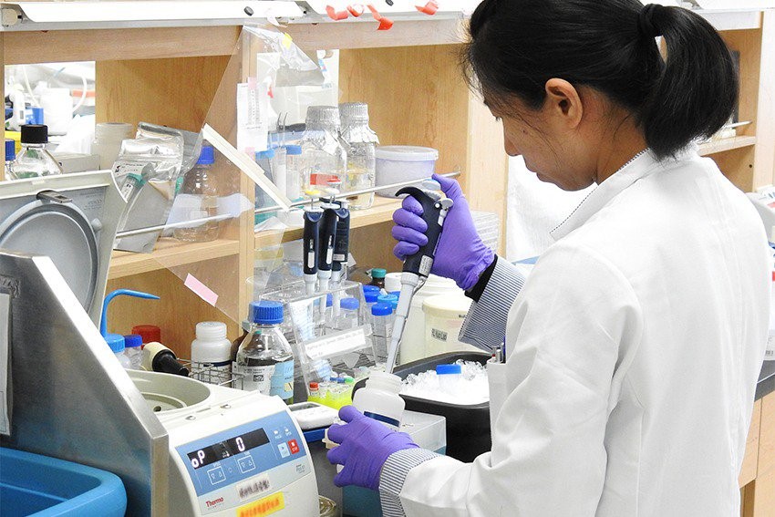 Đại học Trường Canh